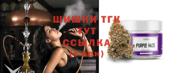 spice Богородск