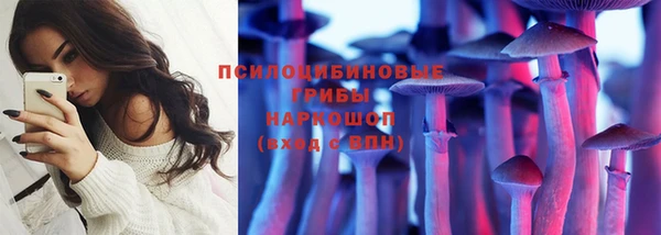 apvp Богородицк