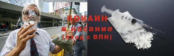 spice Богородск