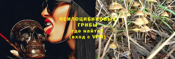 apvp Богородицк