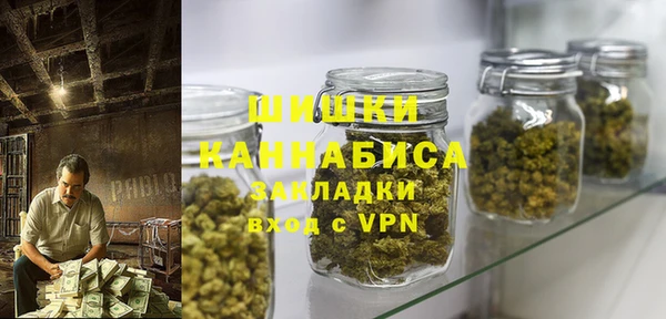 spice Богородск