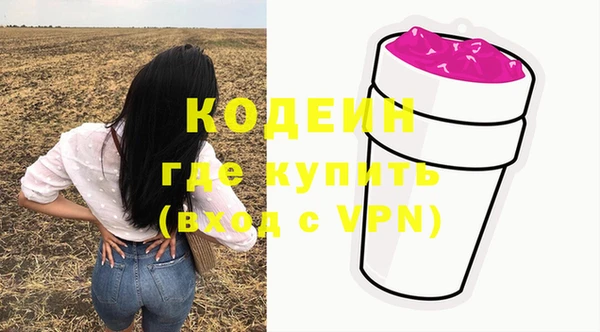 spice Богородск