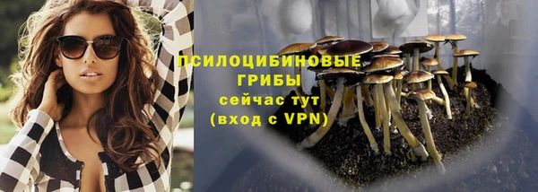 apvp Богородицк