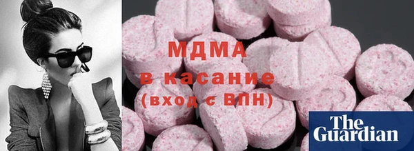 spice Богородск