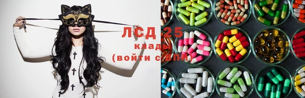 apvp Богородицк