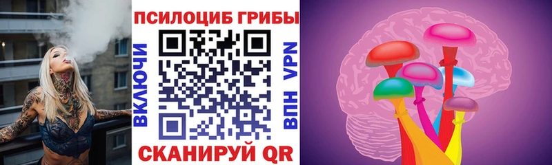 продажа наркотиков  Надым  Псилоцибиновые грибы прущие грибы 