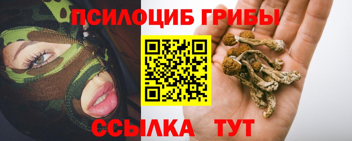 Галлюциногенные грибы прущие грибы  Вход с VPN  Надым 